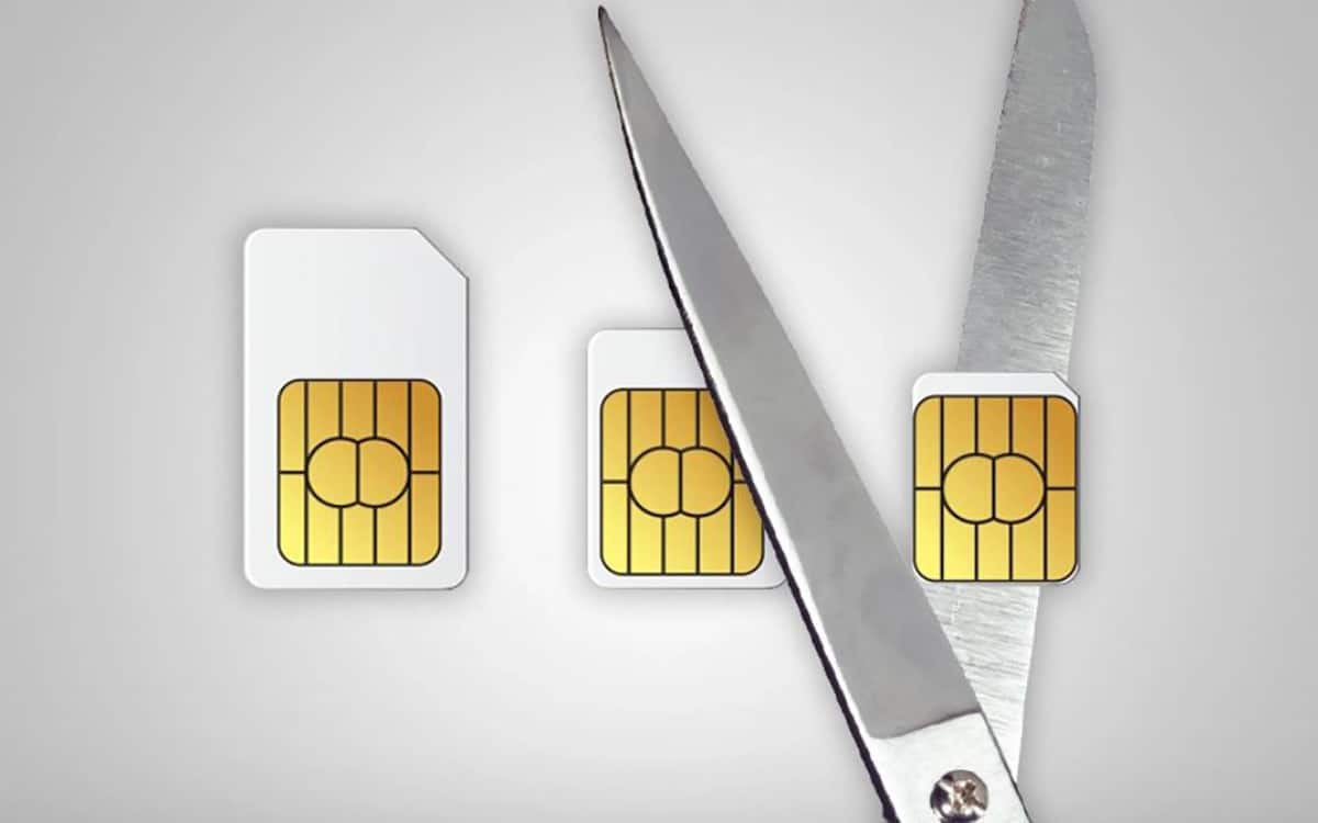 Nano SIM, eSIM, Micro SIM, Mini SIM : tout savoir sur les différentes