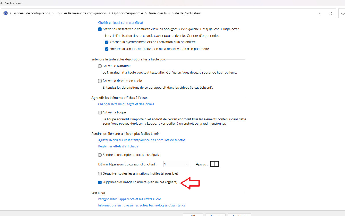 Windows 11 : voici deux techniques simples pour se débarrasser du