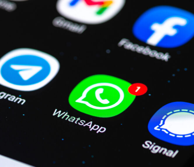 whatsapp telegram signal