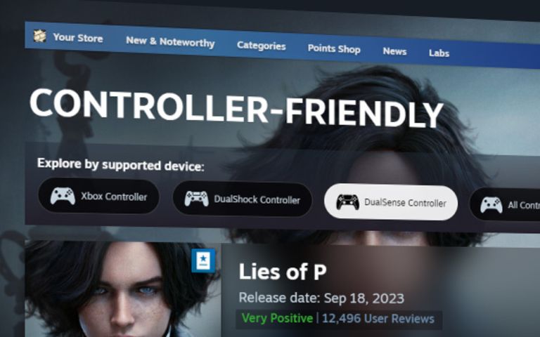 стим в playstation