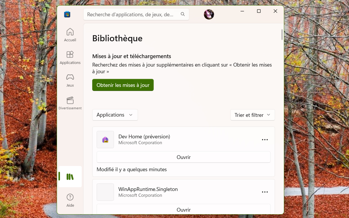Windows 11 Mise a jour applications