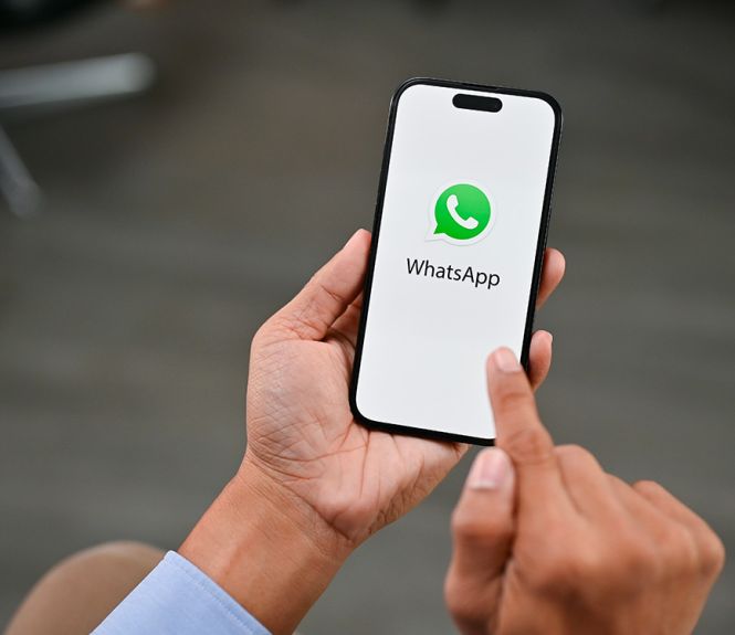 bug ecran vert whatsapp bêta