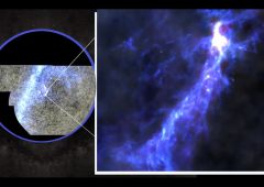 univers primitif