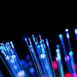 Fibre optique SFR à vendre