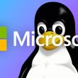 Microsoft linux