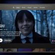 Netflix interface