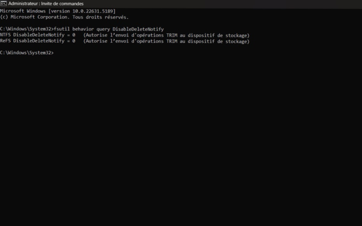 Vérification de l'activation de la commande TRIM