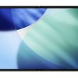 iPhone pliable