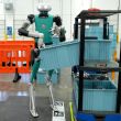 robot digit amazon