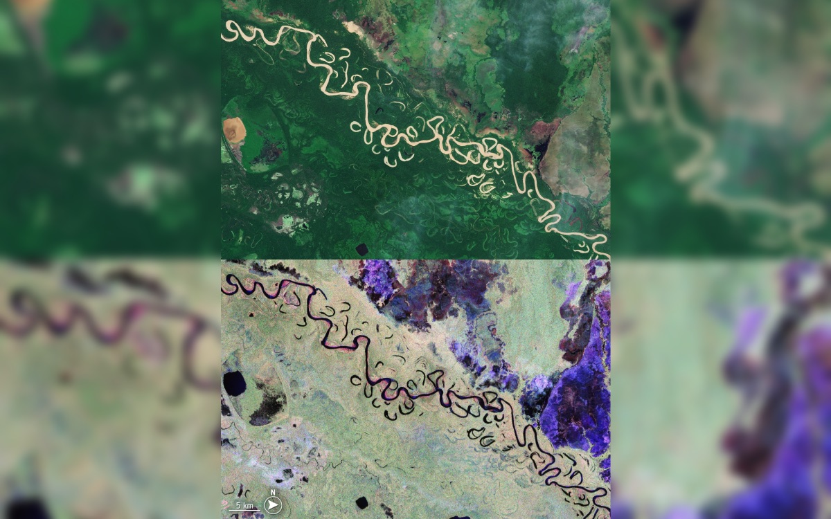 satellite biomass foret