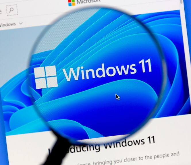 Windows 11