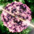 Supernova qui a lancé le BOAT, l'explosion de rayons gamma qui est l'explosion cosmique la plus puissante depuis le Big Bang.