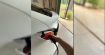 Votre Tesla cache une surprise colorée quand vous la rechargez, voici comment l'activer