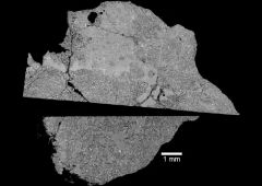 meteorite lunaire