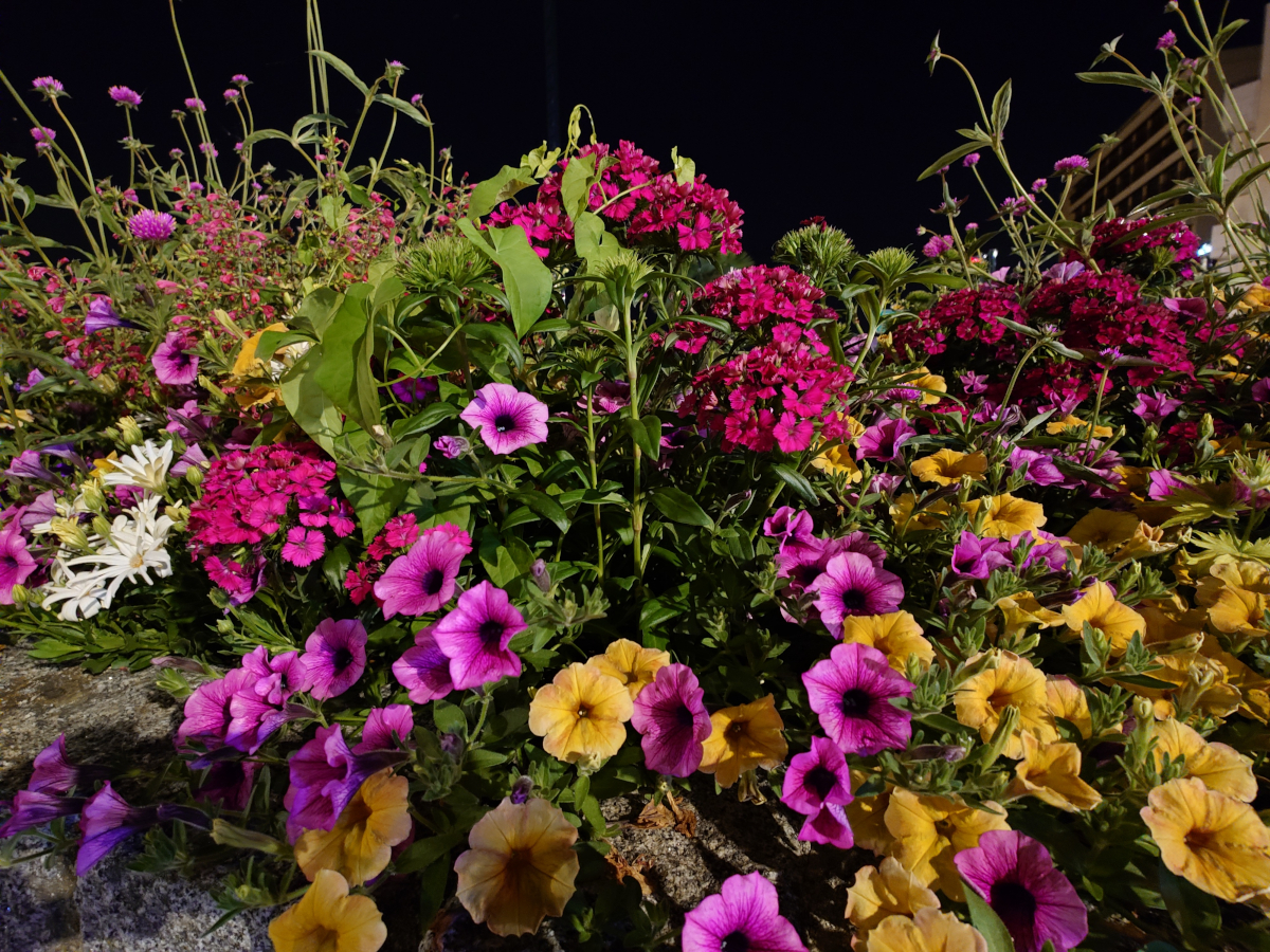 sony xperia 1 vii test