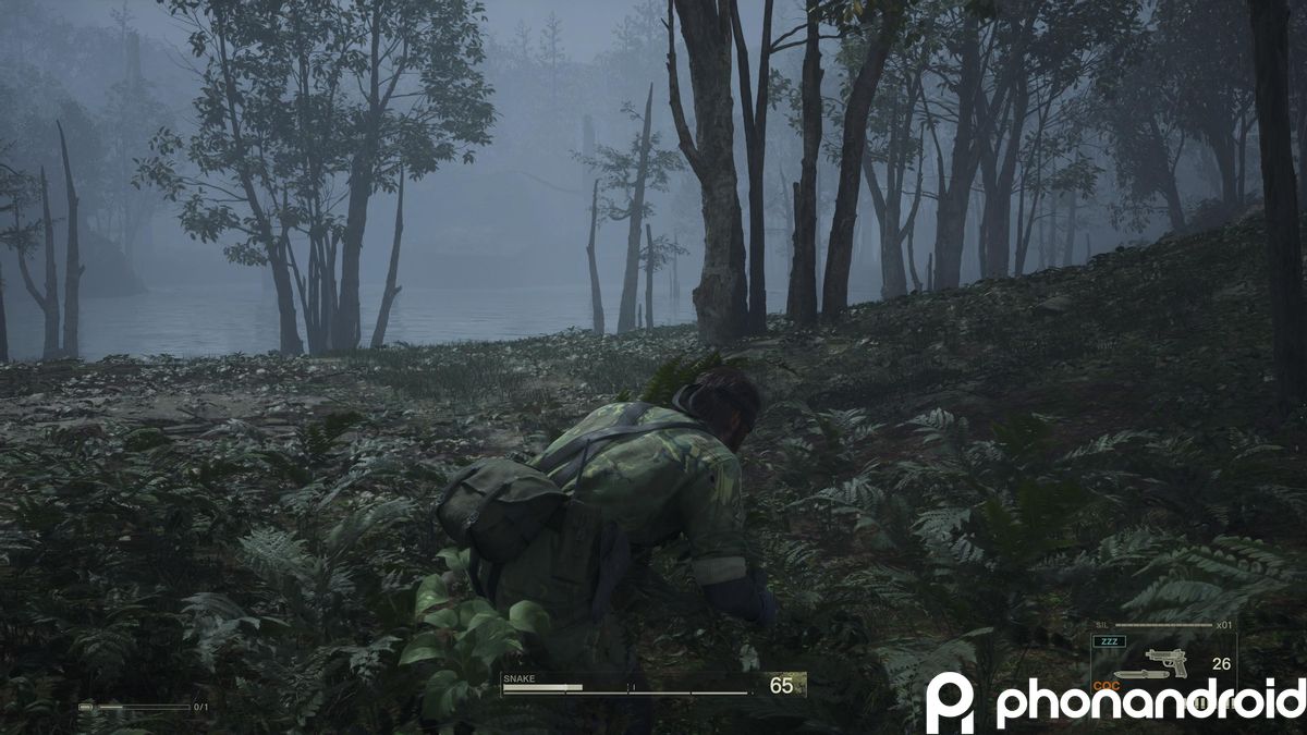 Metal Gear Solid Delta