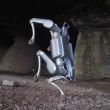 Robot chien Unitree A2 Stellar Explorer