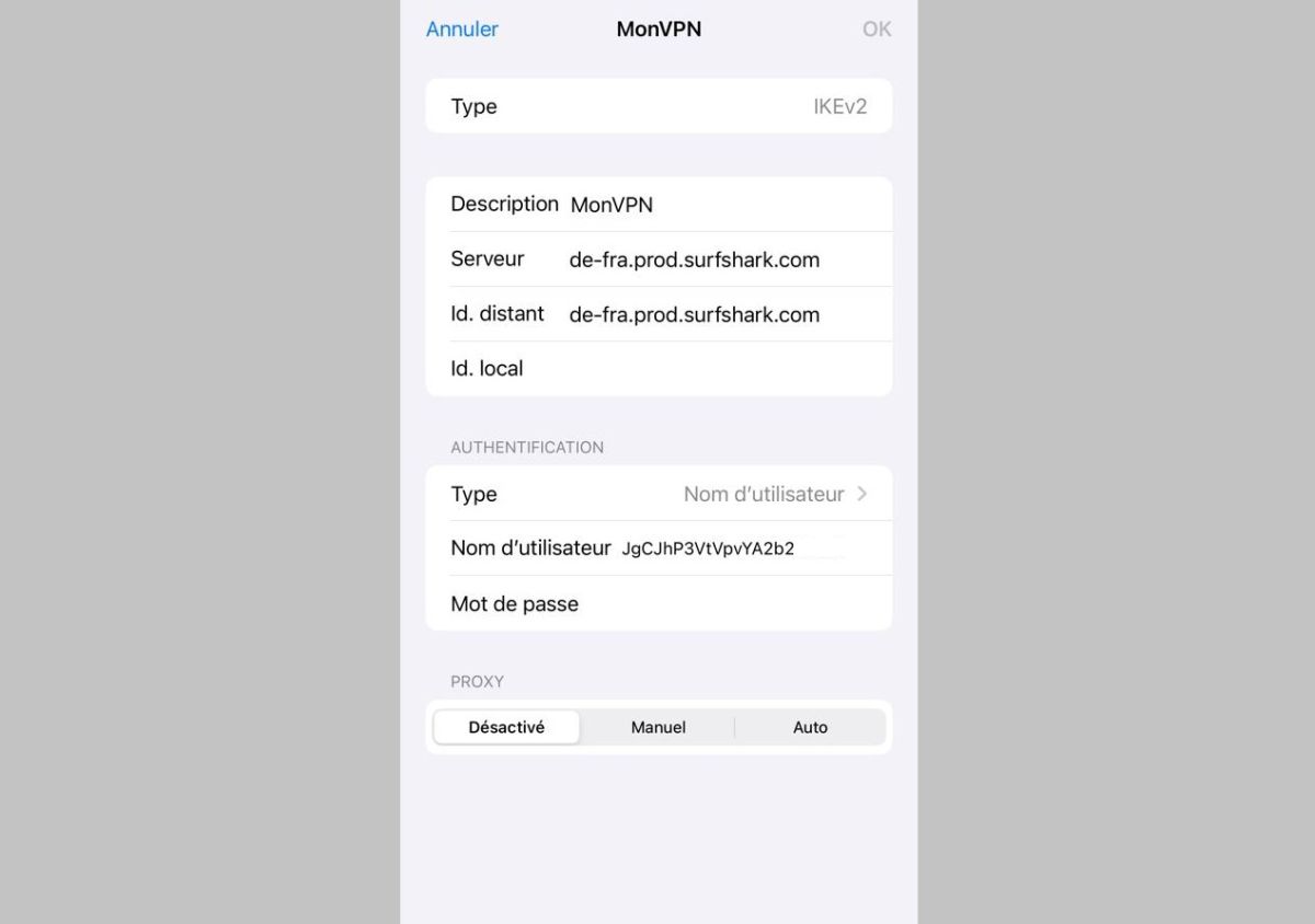 Saisie des Données VPN