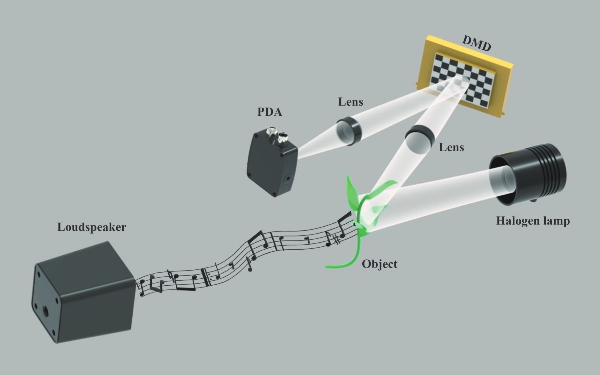 espionner avec lumiere