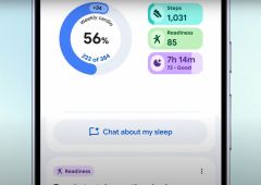 fitbit coach ia