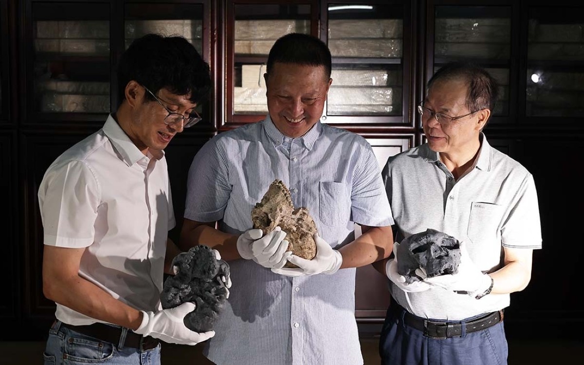 Les auteurs de l’étude ont réussi à reconstituer Yunxian 2 grâce aux parties préservées des autres. 