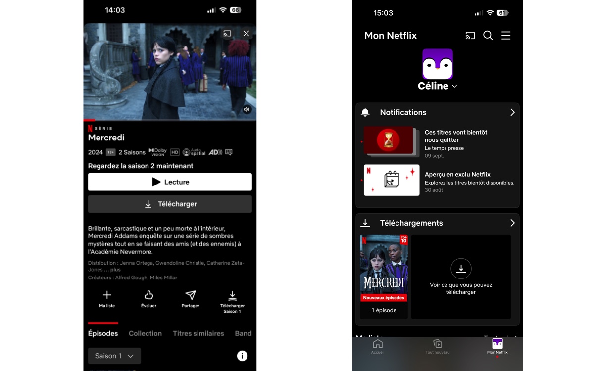 Netflix téléchargement hors connexion