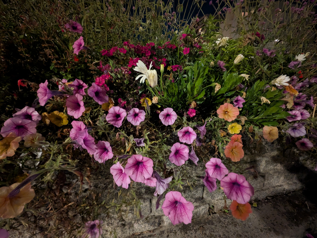 google pixel 10 test