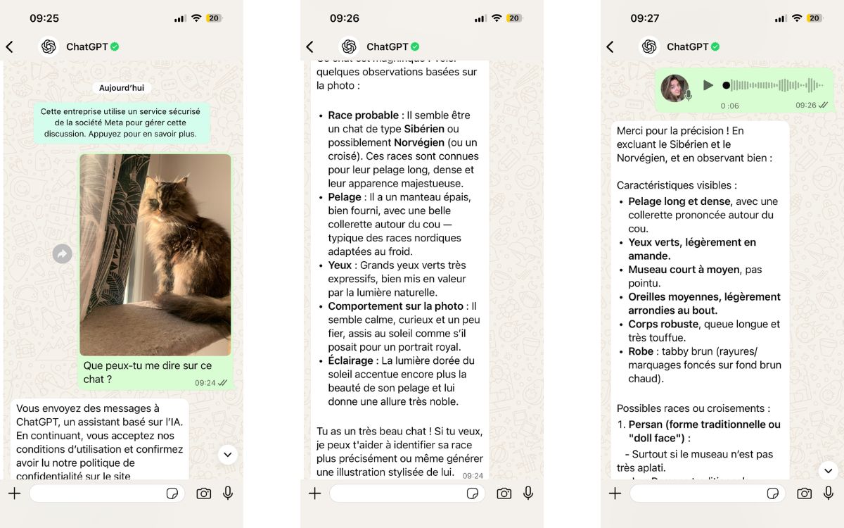 ChatGPT dans WhatsApp image et texte