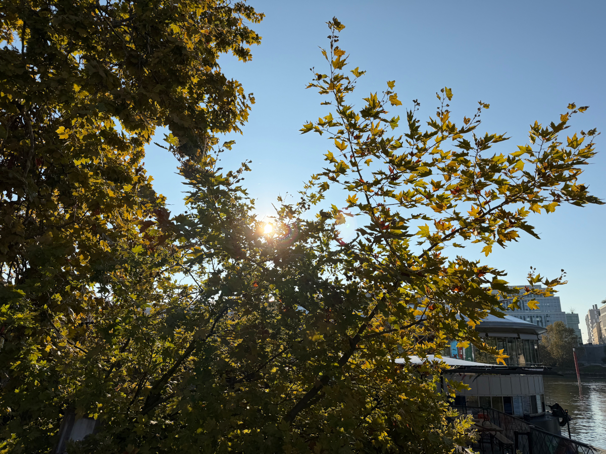 apple iphone 17 pro max test