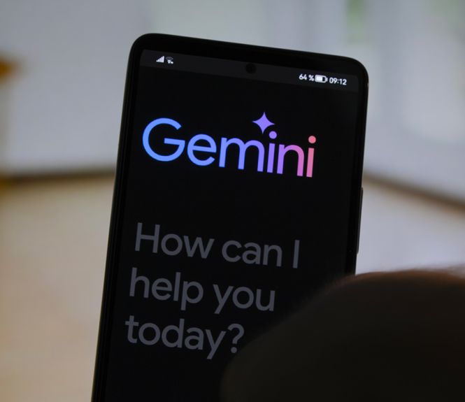 gemini collecte data