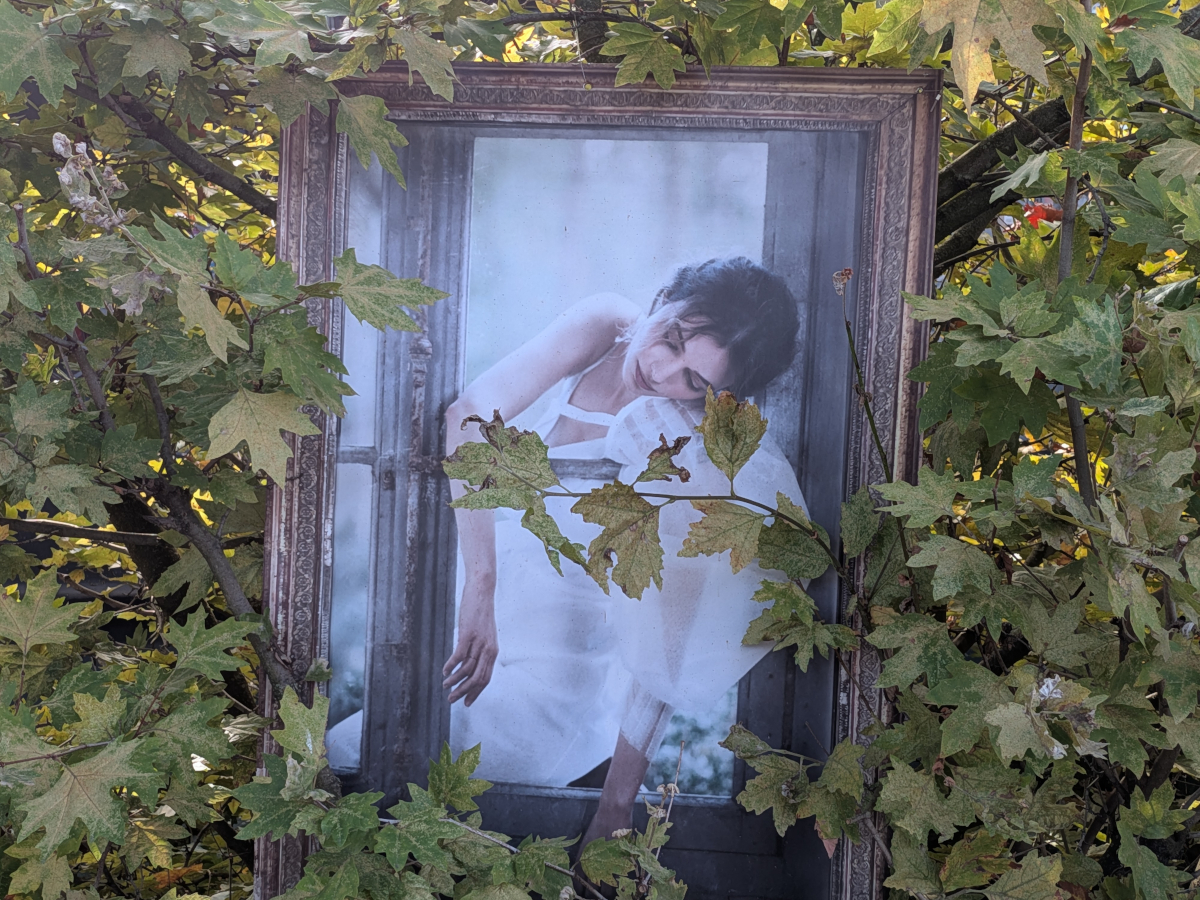 google pixel 10 pro fold test