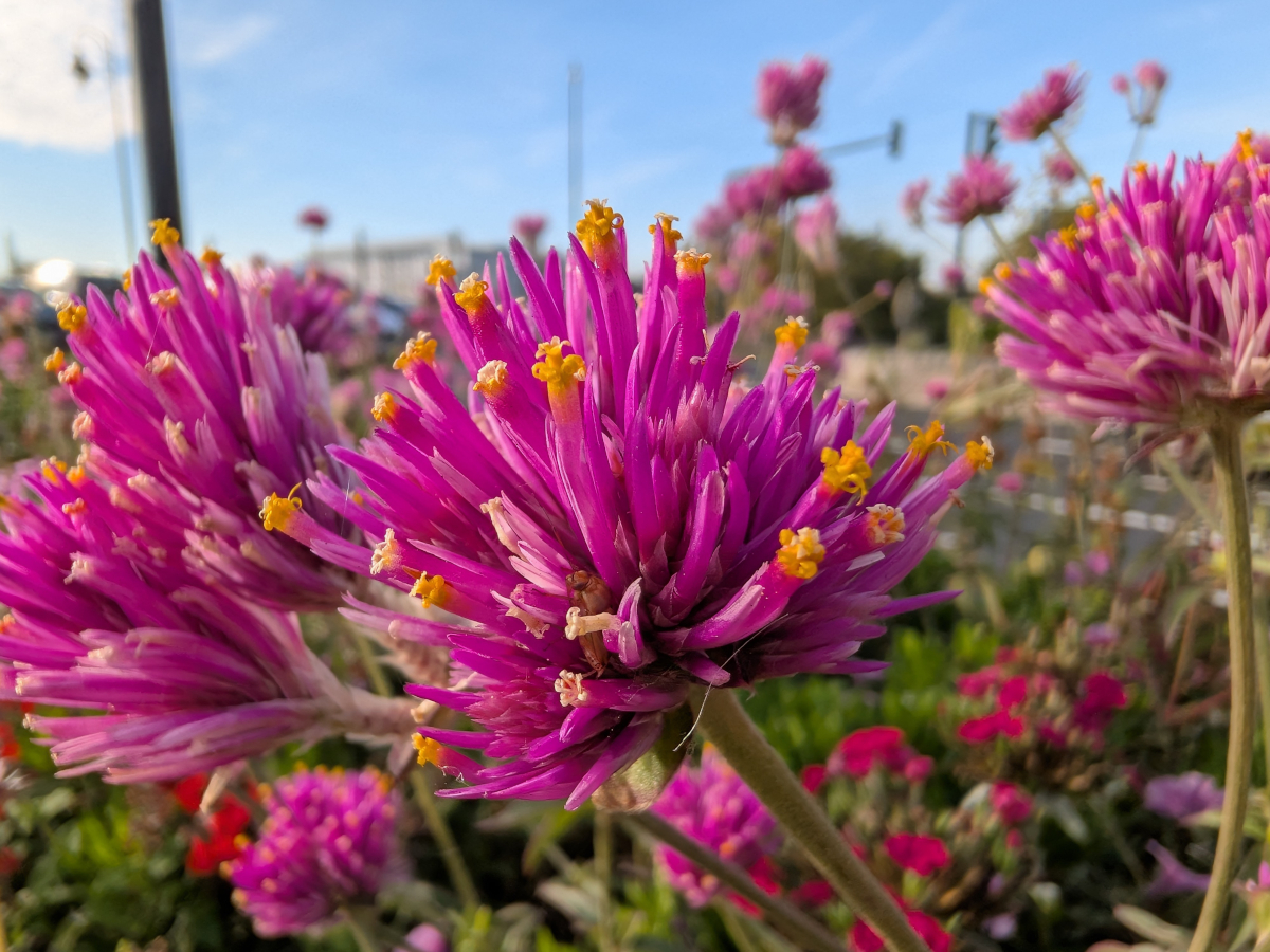 google pixel 10 pro fold test