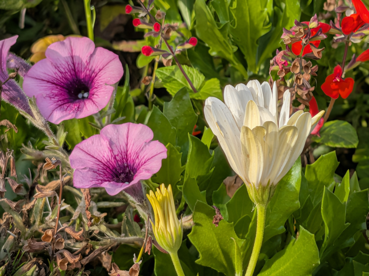 google pixel 10 pro fold test