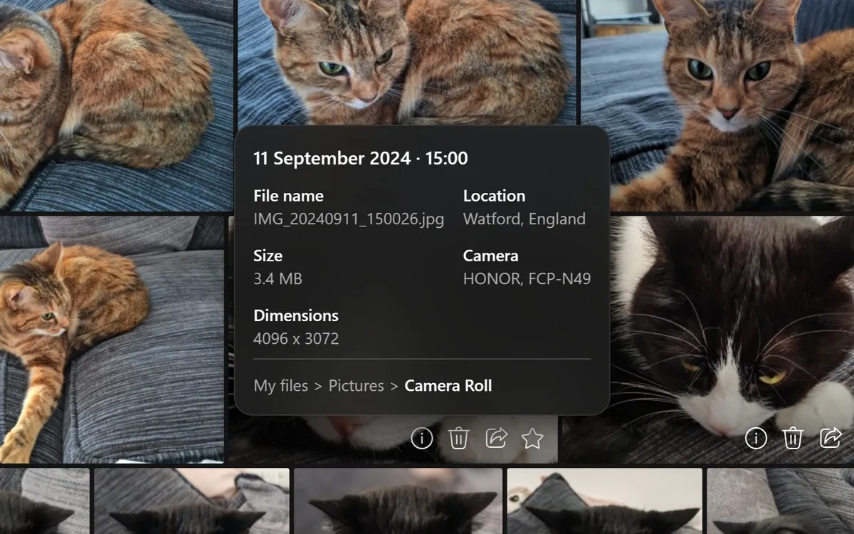 onedrive galerie windows 11