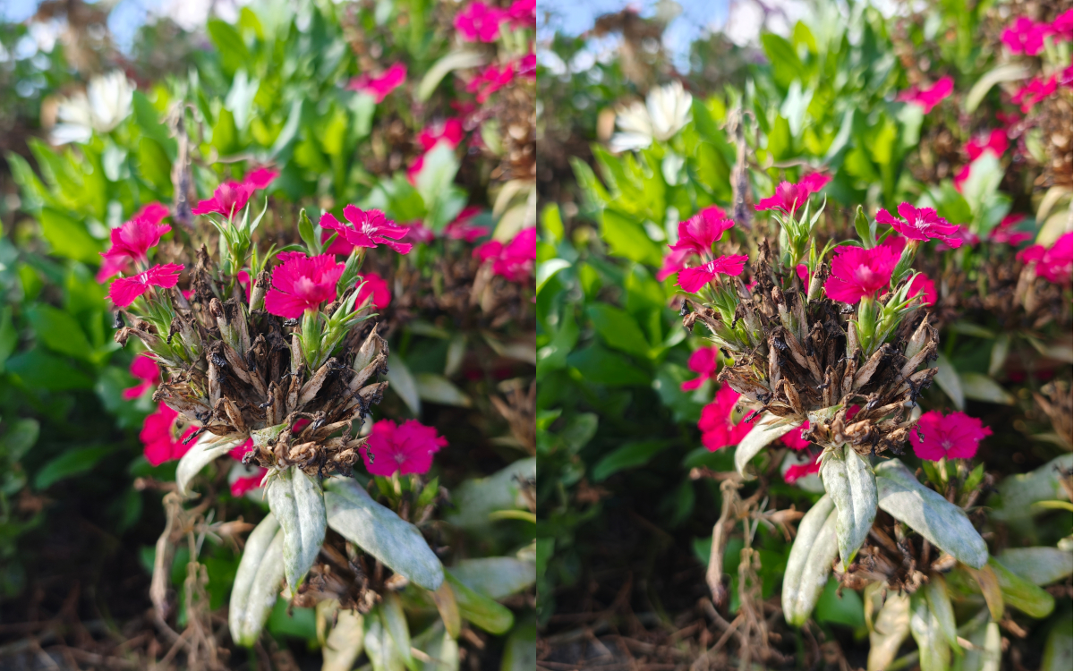 oppo find x9 pro test