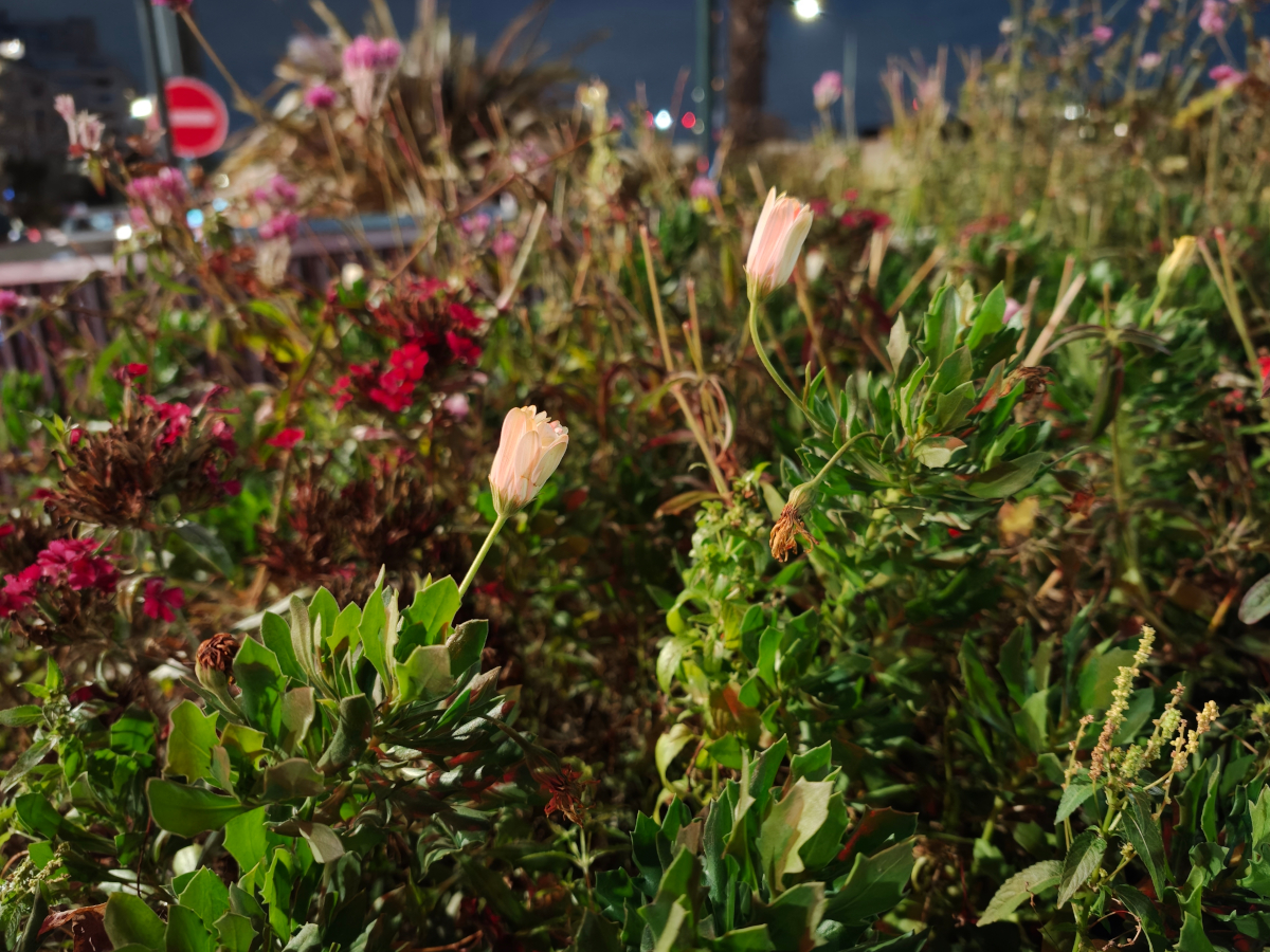 oppo find x9 pro test