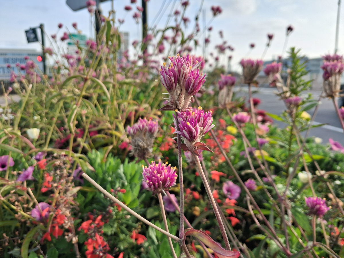 samsung galaxy a17 5g test 1