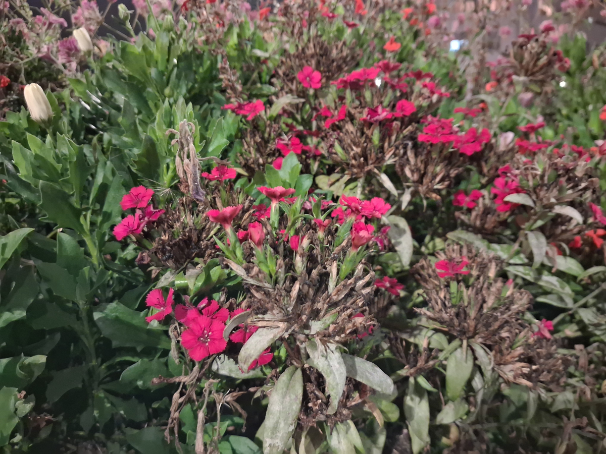 samsung galaxy a17 5g test 1