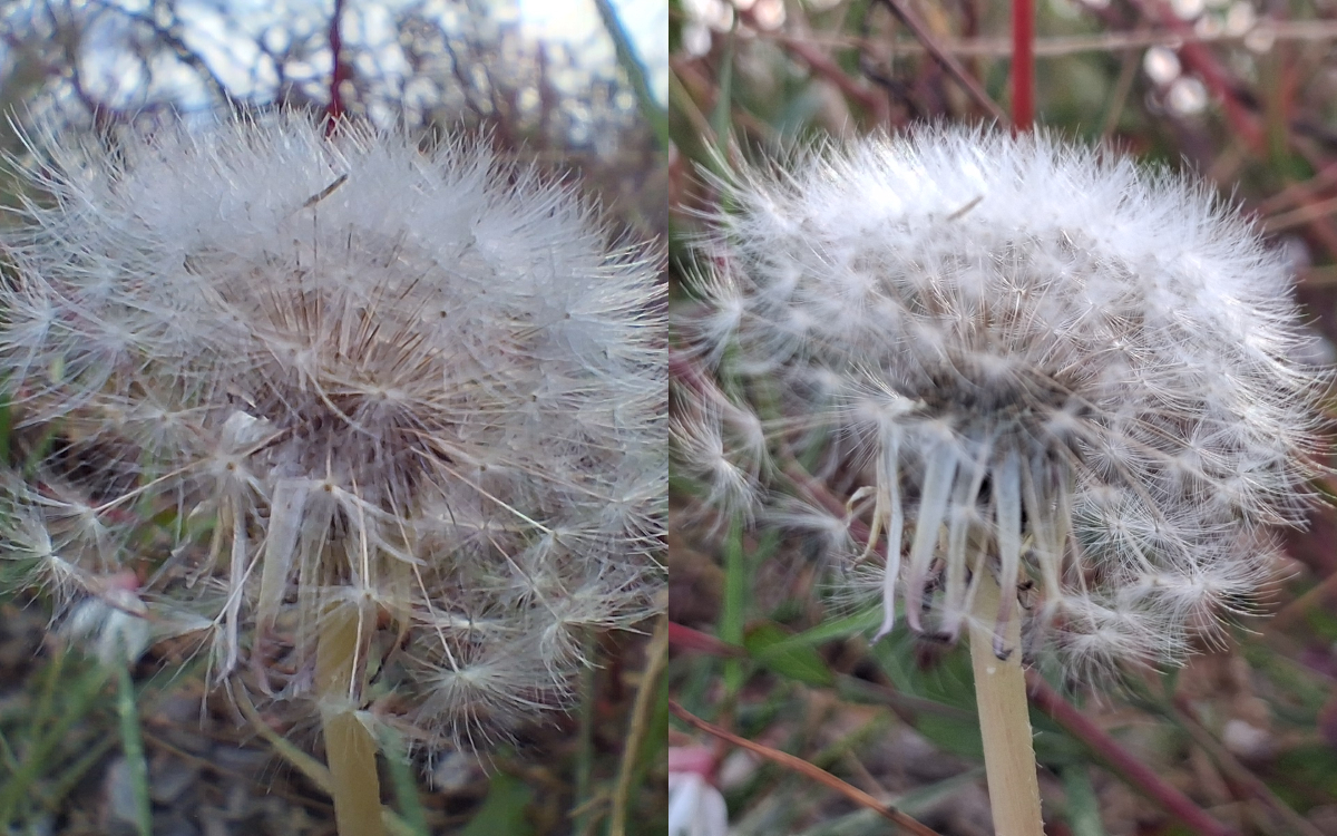 samsung galaxy a17 5g test