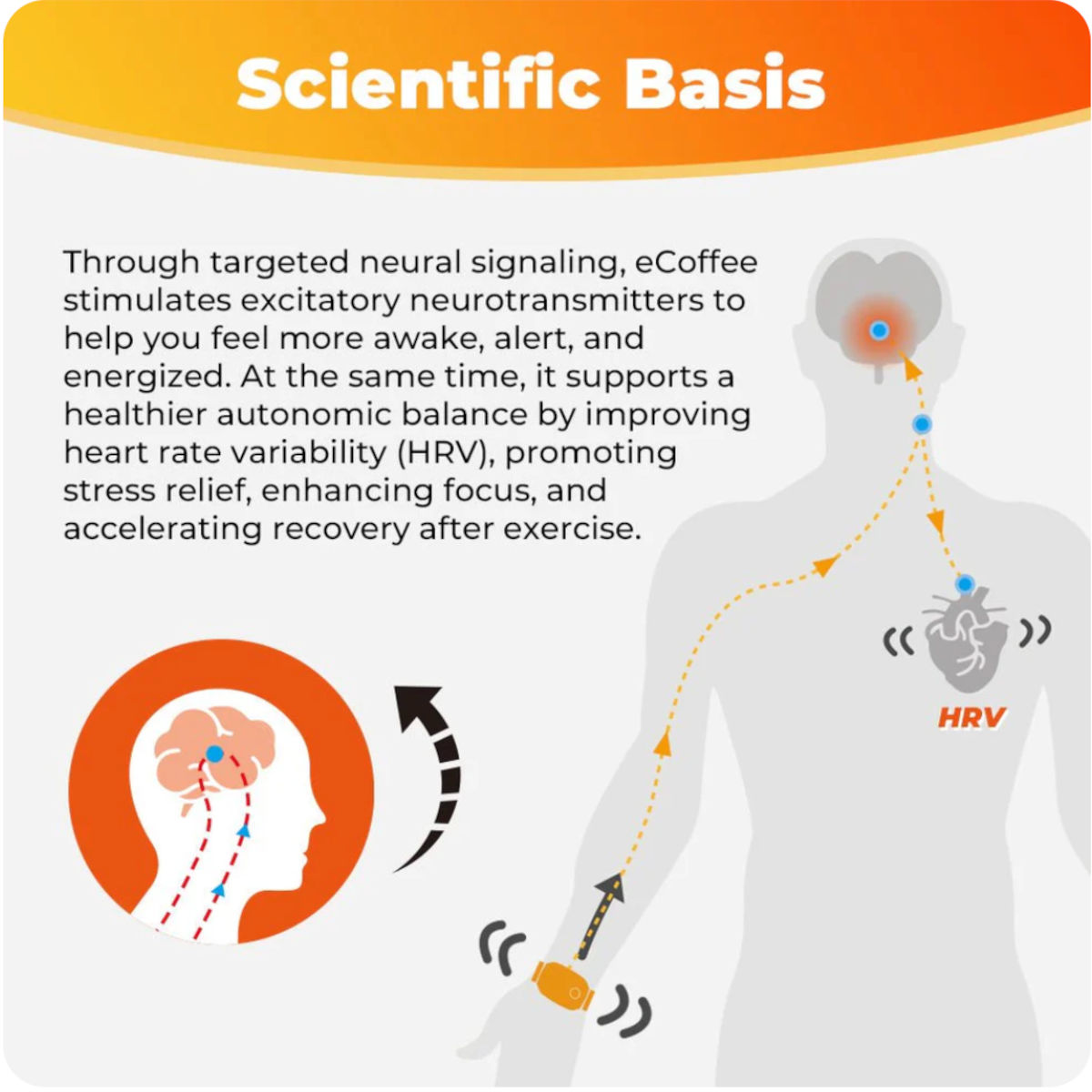 ecoffee bracelet connecte
