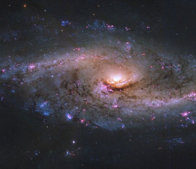 galaxie starburst hubble