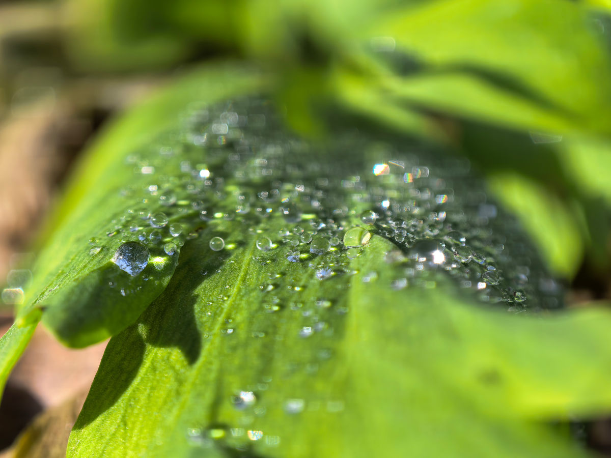 huawei pura 80 ultra test