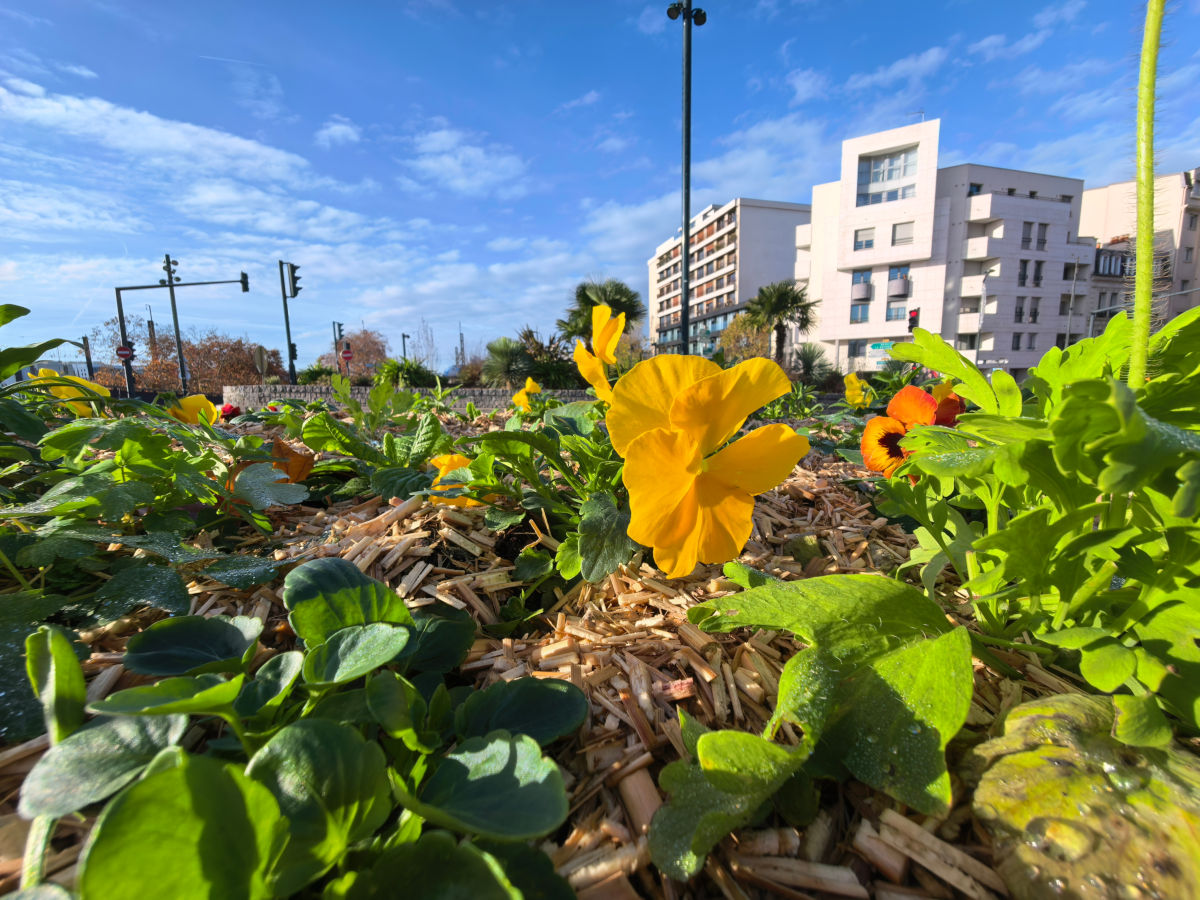 huawei pura 80 ultra test