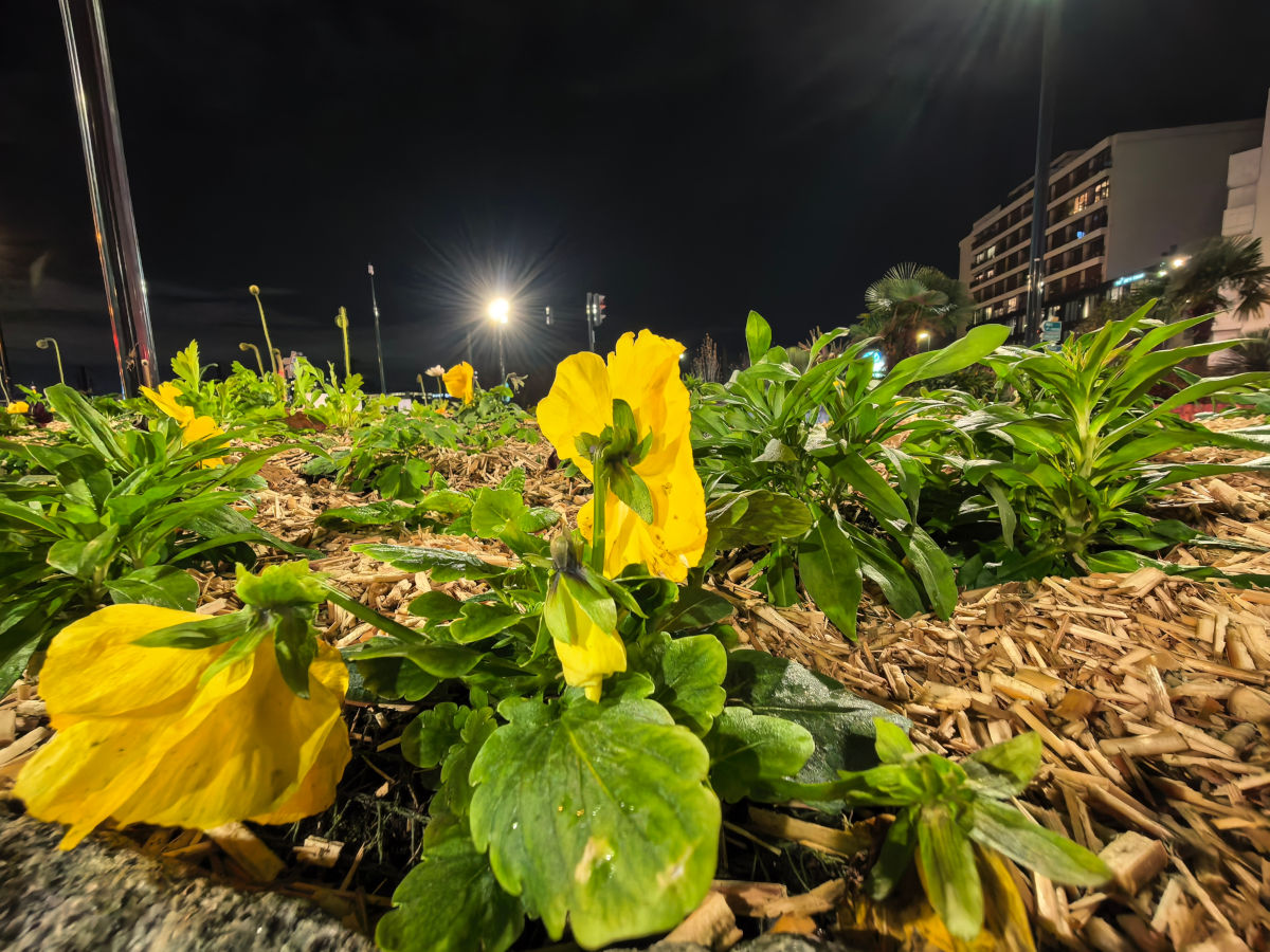 huawei pura 80 ultra test