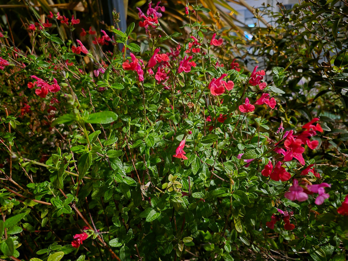 samsung galaxy s25 fe test