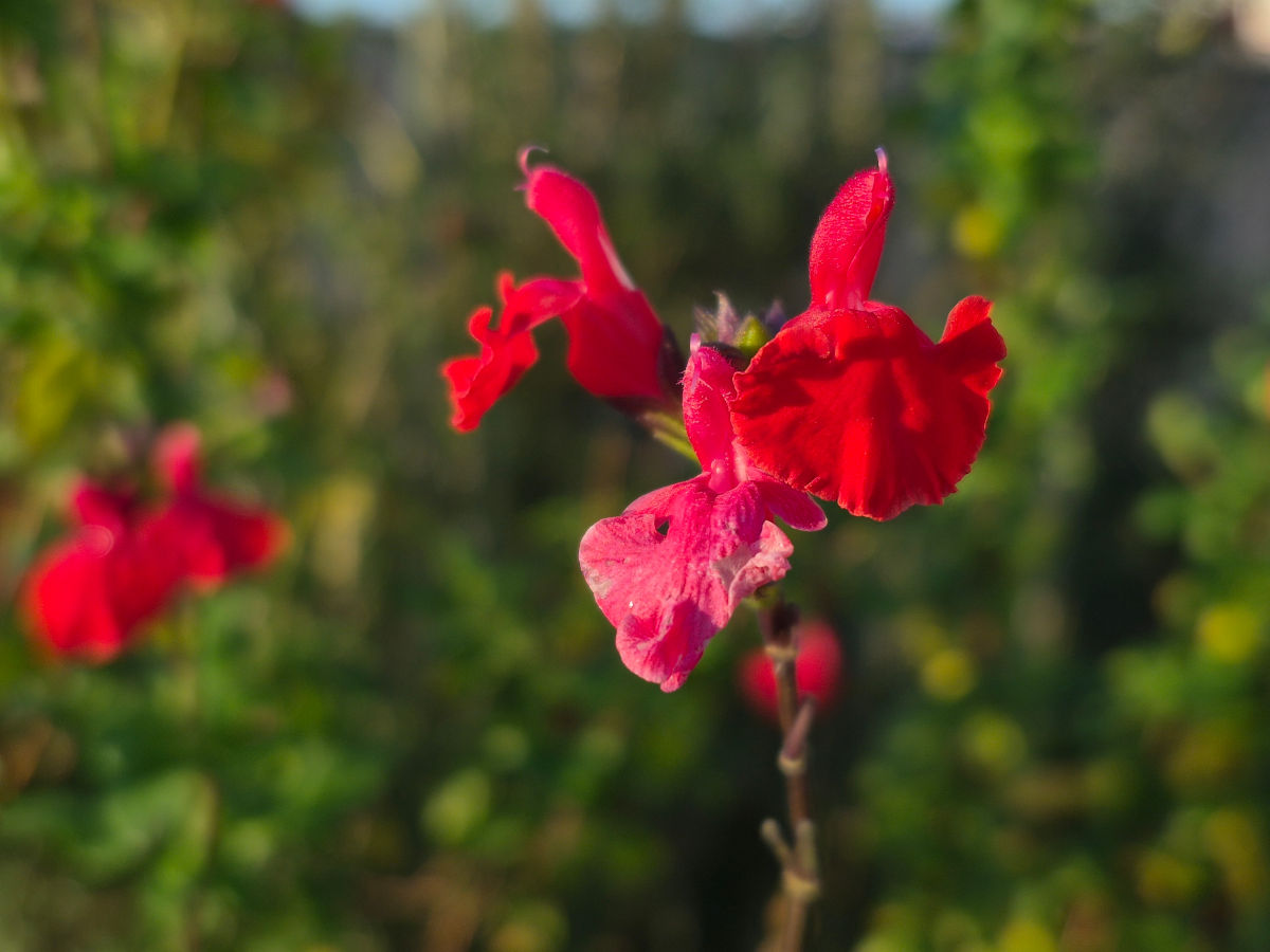 samsung galaxy s25 fe test