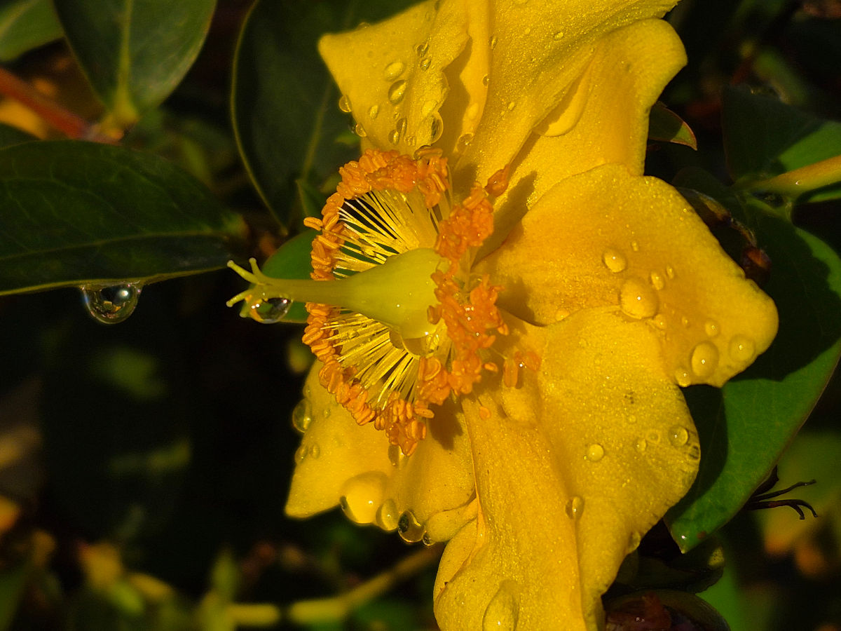 samsung galaxy s25 fe test