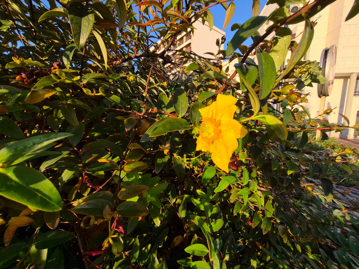 samsung galaxy s25 fe test