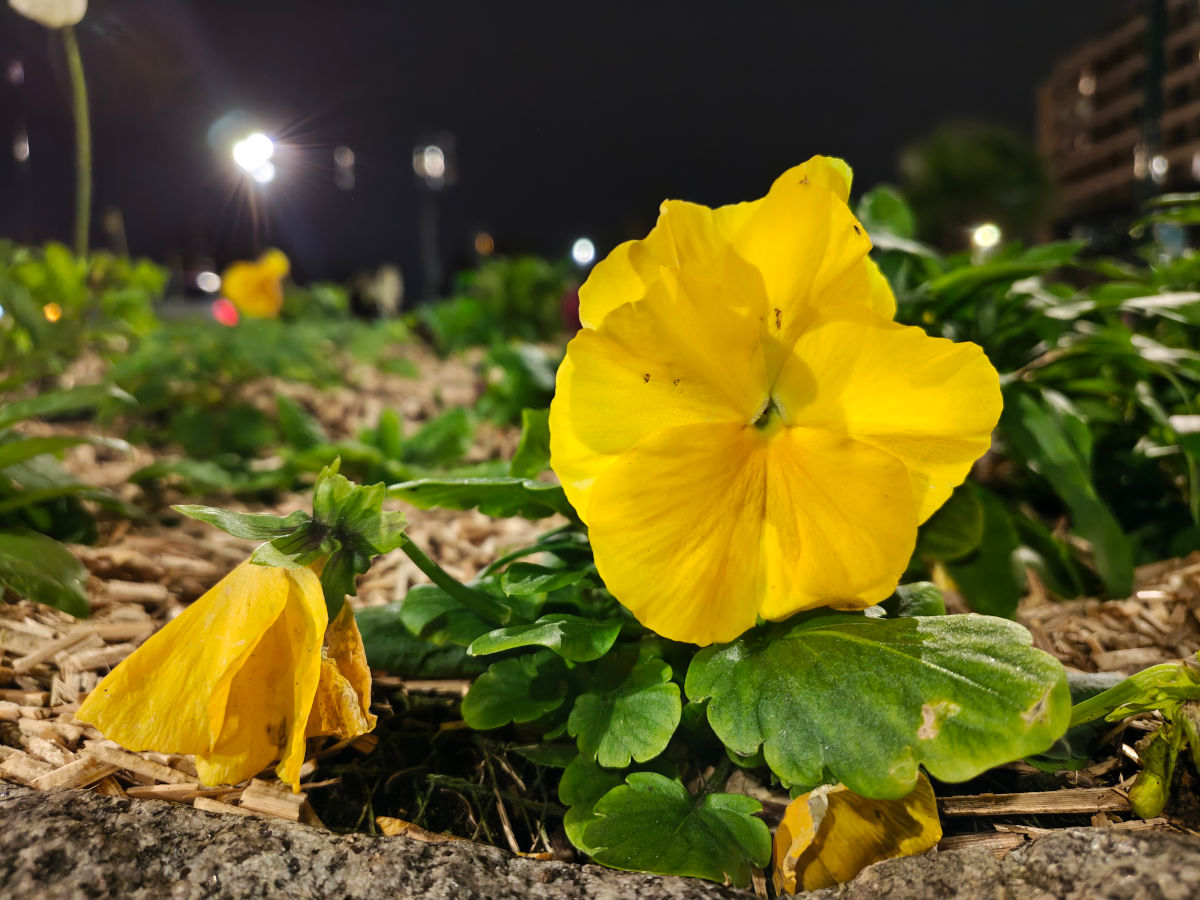 motorola edge 70 test