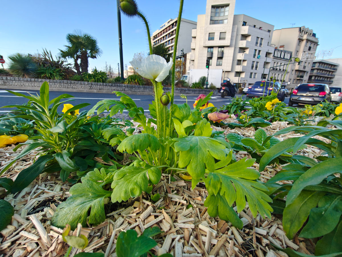 motorola edge 70 test